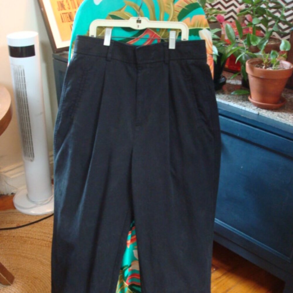 Everlane 6S 6 Draper Pleated Pants slacks trouser